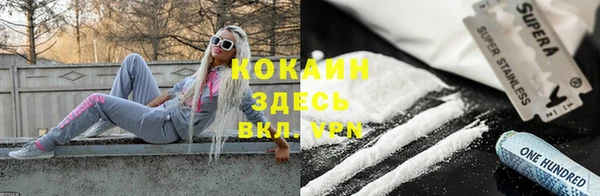 дурь Алексин