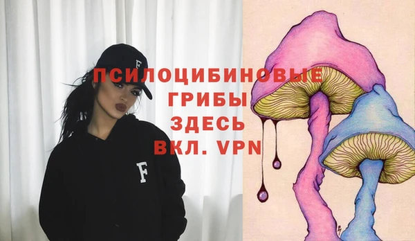 дурь Алексин