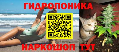 mix Кимры