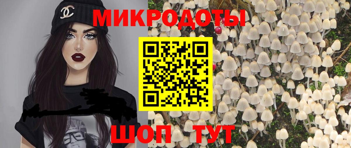 Псилоцибиновые грибы Cubensis Кызыл